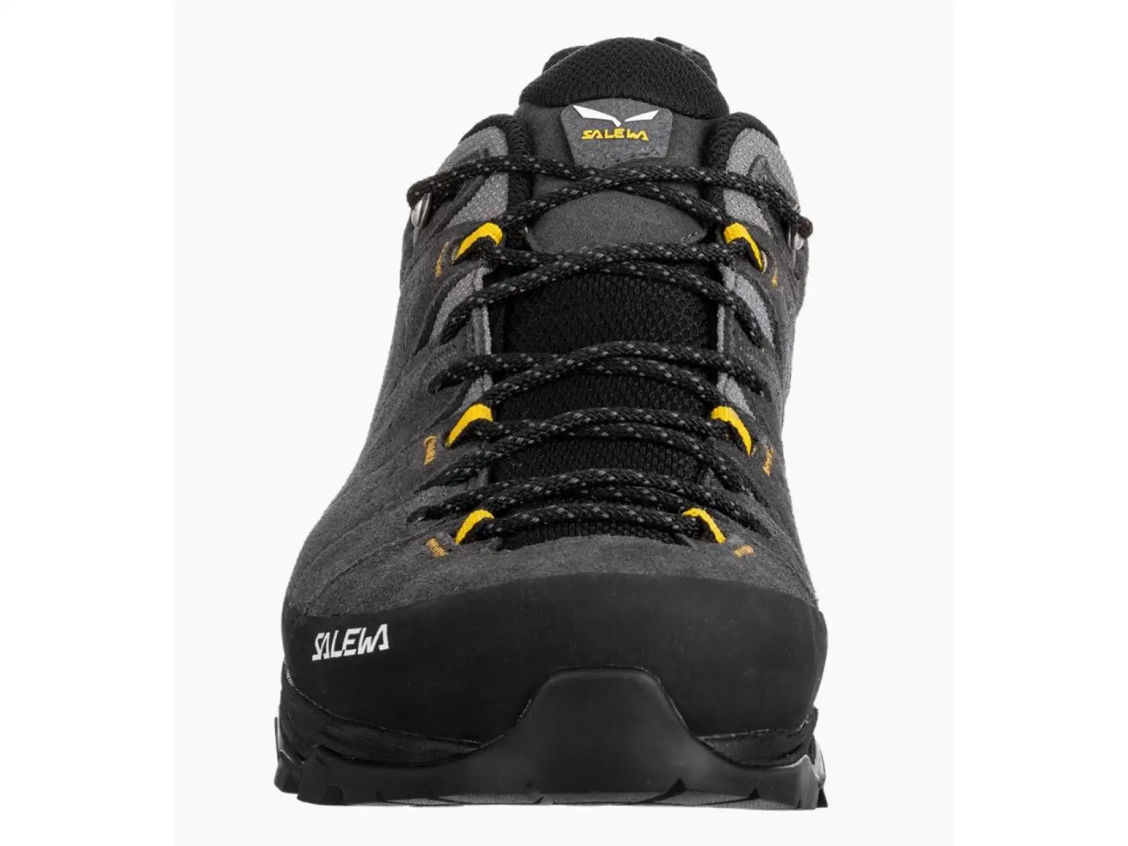 Salewa Alp Trainer 2 Gore-Tex pánské boty Onyx Black