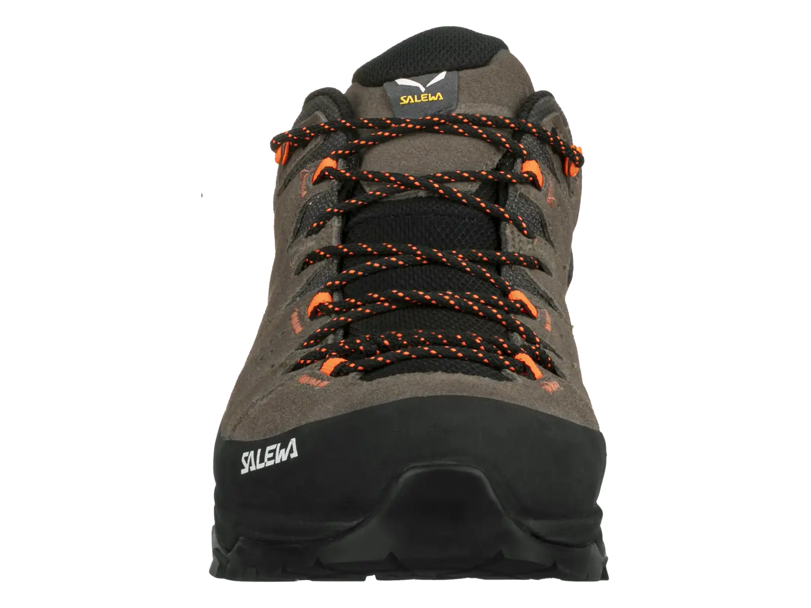 Salewa Alp Trainer 2 GTX pánské boty Bungee Cord/Black