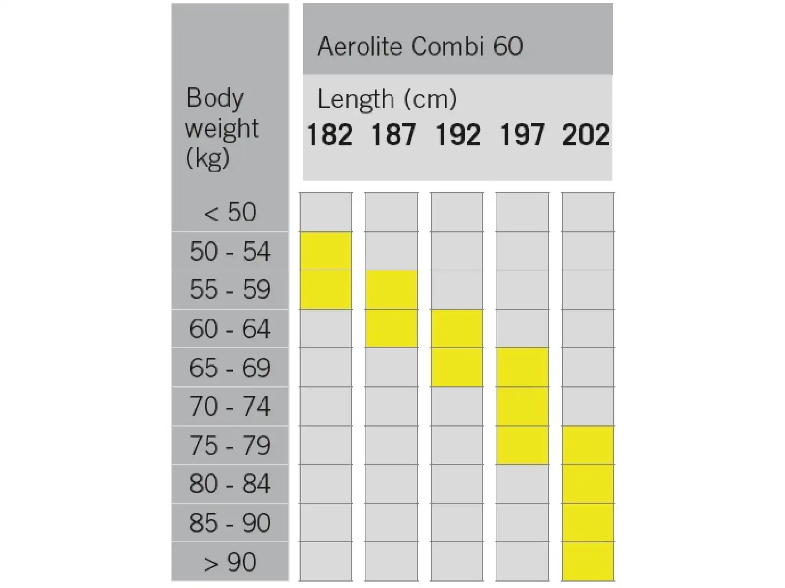 Fischer Aerolite Combi 60 běžecké lyže + Race Combi vázání set 2024/25