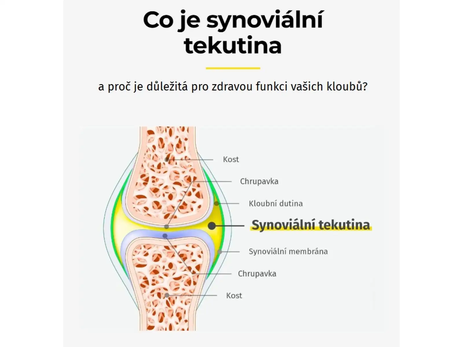 Namman Muay Movifar 30 kapslí