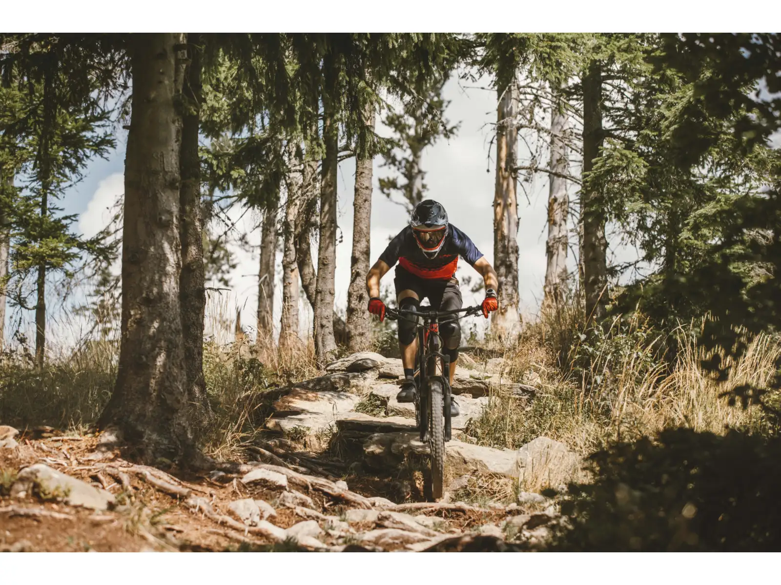 Force Angle MTB pánský dres krátký rukáv modrá/červená