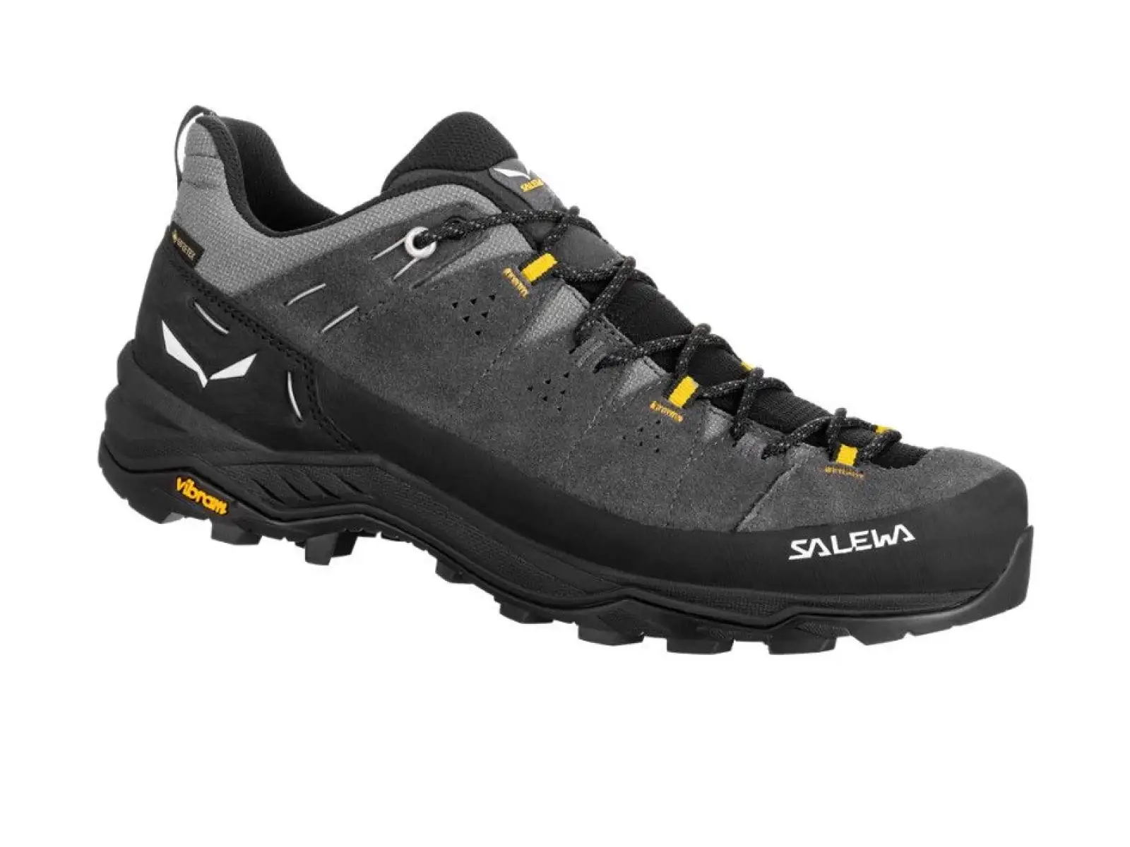 Salewa Alp Trainer 2 Gore-Tex pánské boty Onyx Black