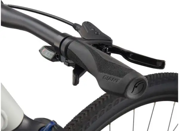Giant Roam 3 Disc Metal trekingové kolo