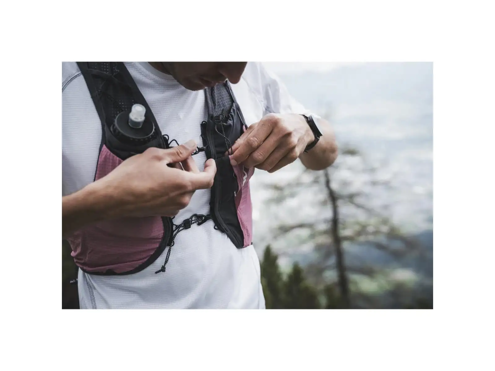 Silva Strive Fly vesta Rose