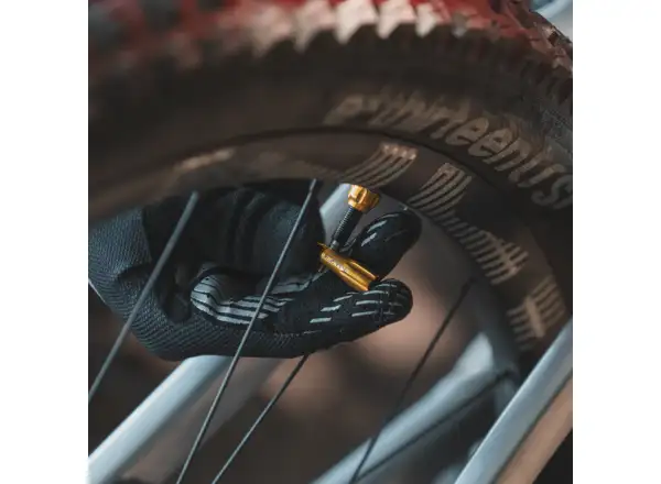 Lezyne CNC TLR čepička ventilku silver