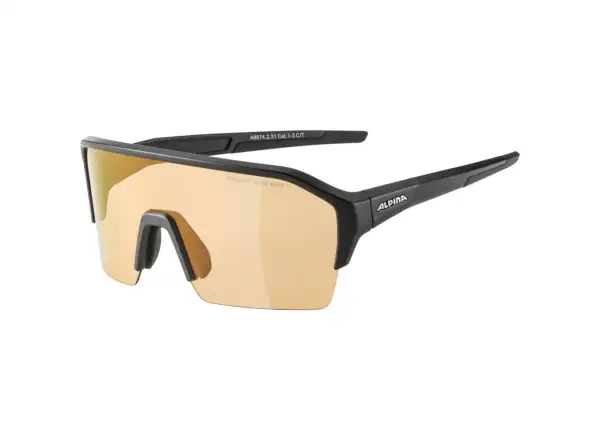 Alpina Ram HR Q-Lite V brýle Black Matt