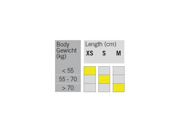 Fischer Mystique EF běžecké lyže + Control Step vázání set 2024/25