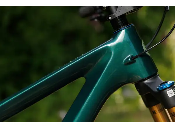 Ibis Ripley V5 GX T-Type AXS horské kolo Green Flash