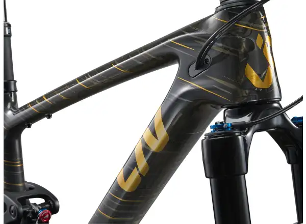 Liv Pique Advanced 29 1 horské kolo Raw Carbon