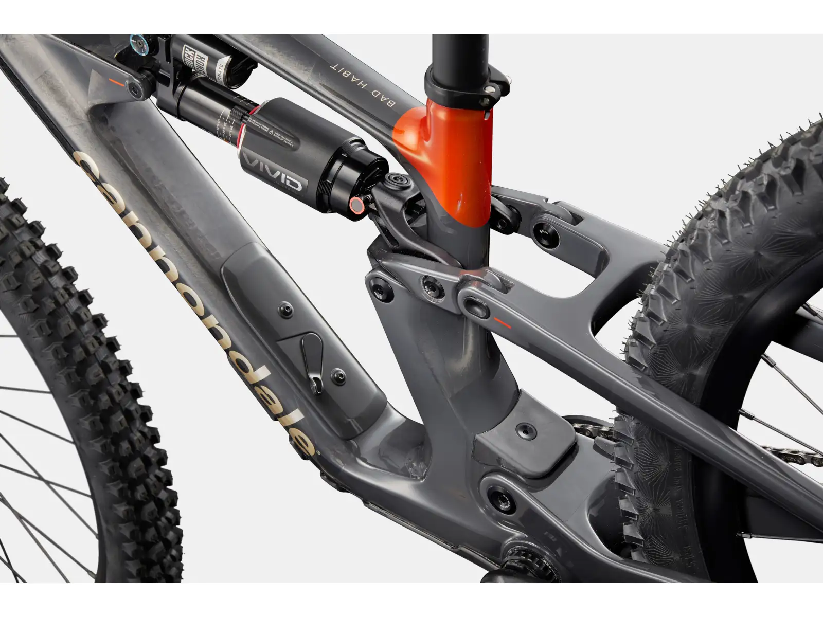 Cannondale Bad Habit 1 horské kolo RAW Carbon