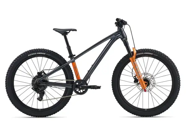 Giant STP 24 dětské horské kolo Black Chrome