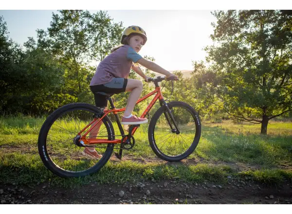 Rascal 26 3 sp. Shimano Nexus dětské kolo Flame