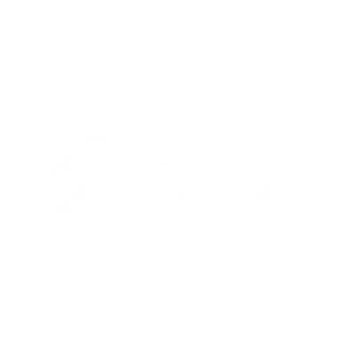 Bliz