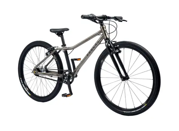 Rascal 24 3 sp. Shimano Nexus dětské kolo Titan