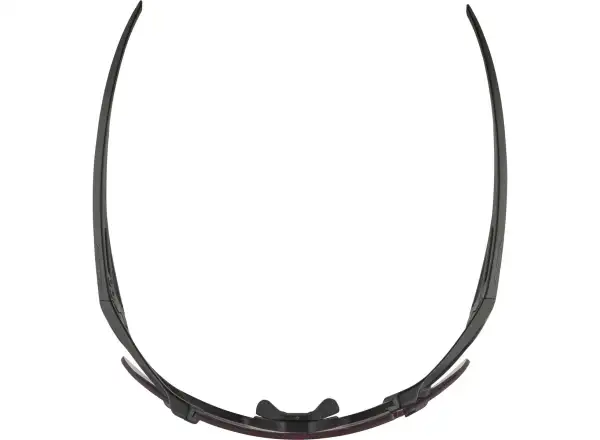 Alpina Hawkeye S Q-Lite V brýle Black Matt