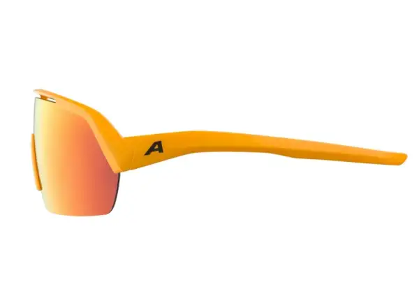 Alpina Turbo HR brýle Burned/Yellow Matt