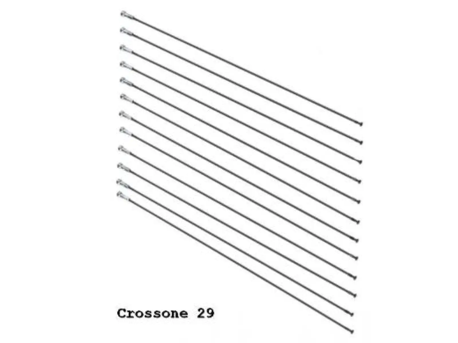 Mavic Crossride/CrossOne/Aksium Disc sada špic 12 ks - 36690400