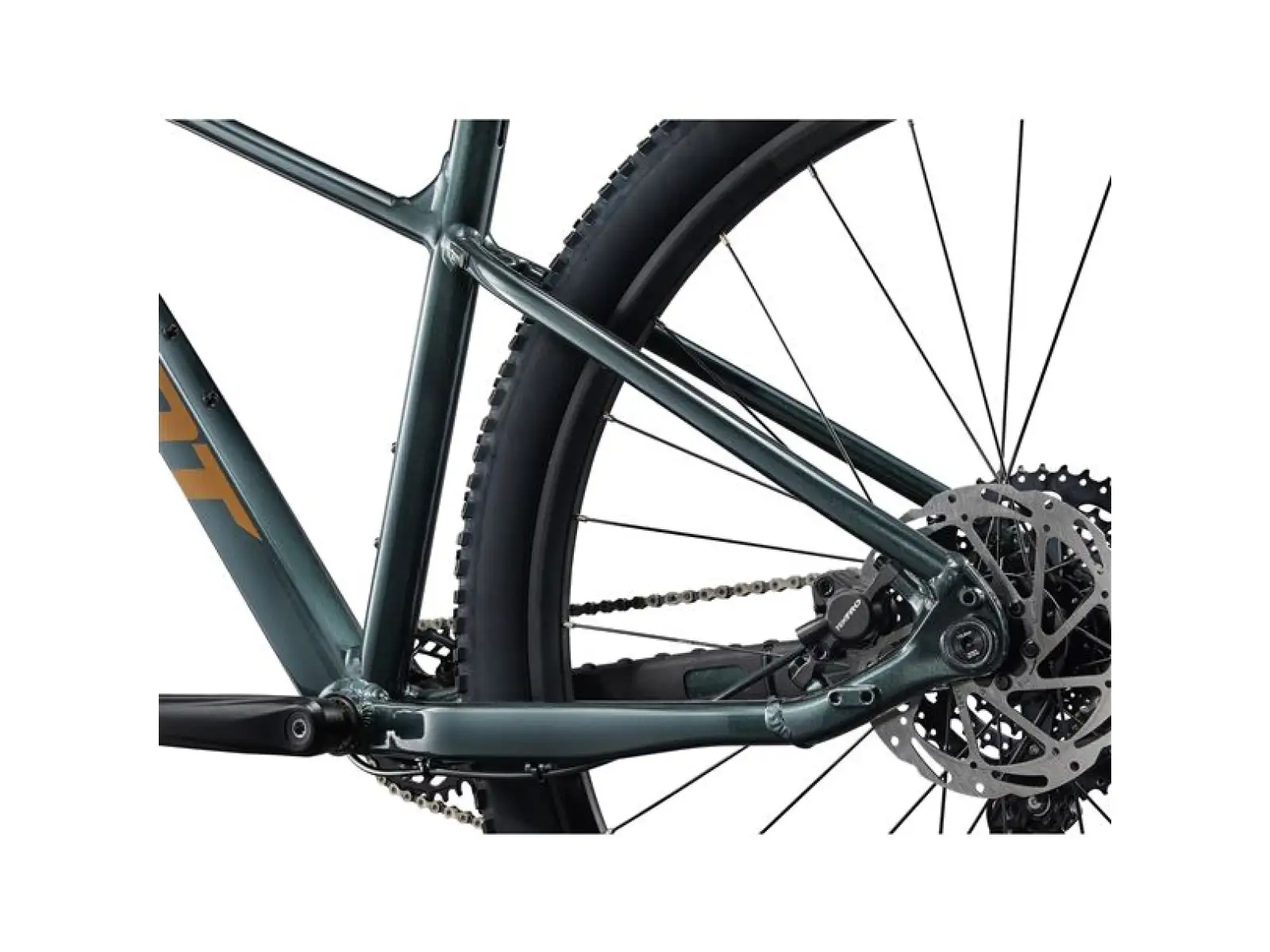 Giant Talon 29 2 horské kolo Asphalt Green