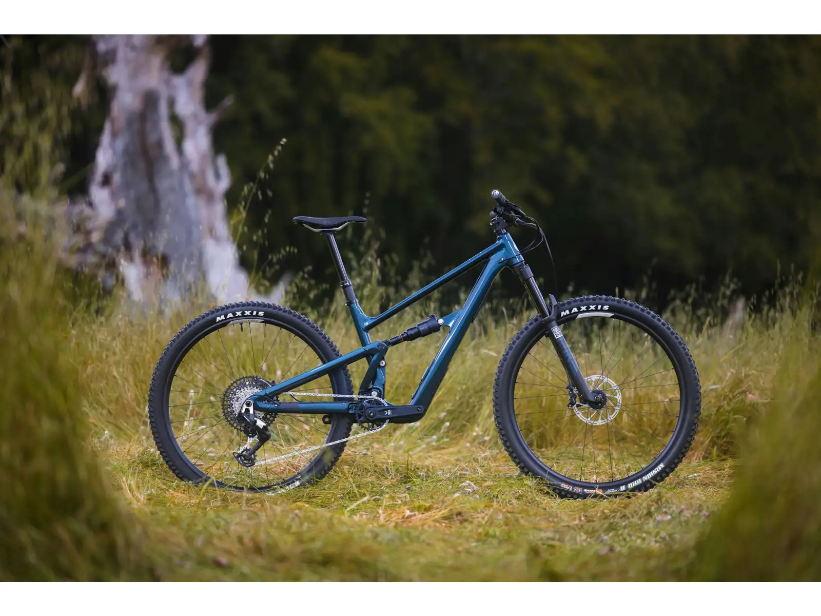 Ibis Ripley AF V2 Eagle 90 horské kolo Blue