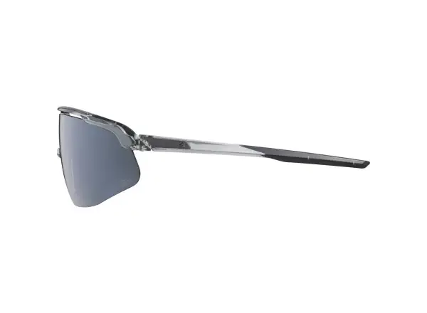 Alpina Turbo PRO Q-lite brýle Grey Transparent Gloss