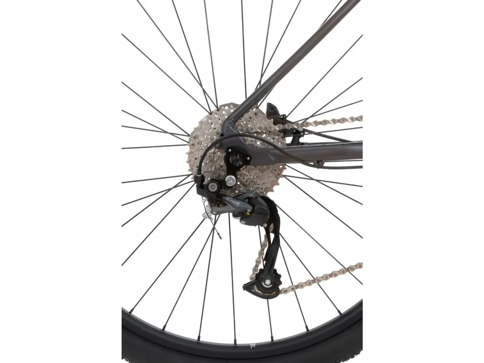 Rock Machine Catherine 20-29horské kolo Matte Anthracite/Mint/Grey