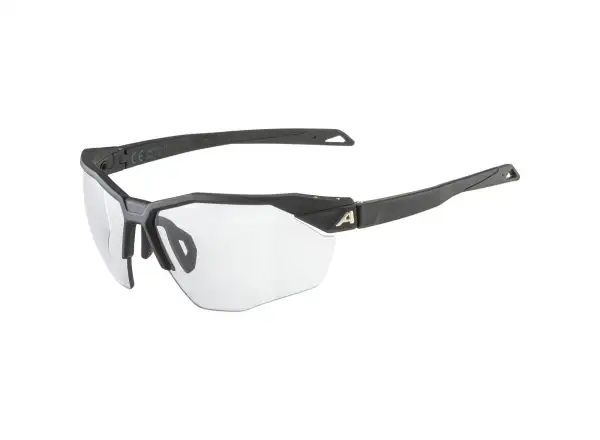 Alpina Twist Six HR V brýle Black Matt