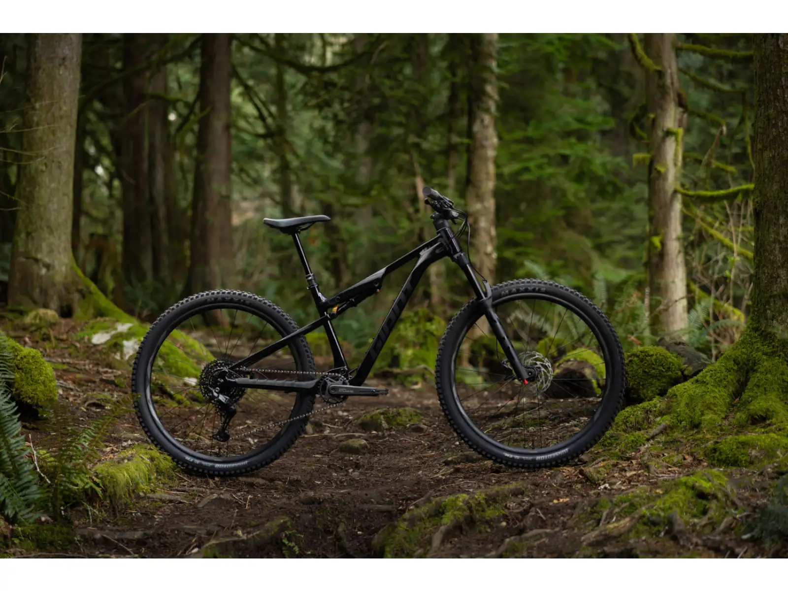 Giant Stance 2026 horské kolo Black