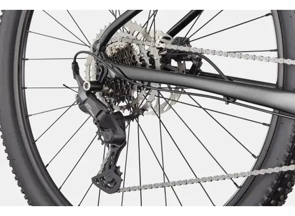 Cannondale Trail 2 29" horské kolo Black