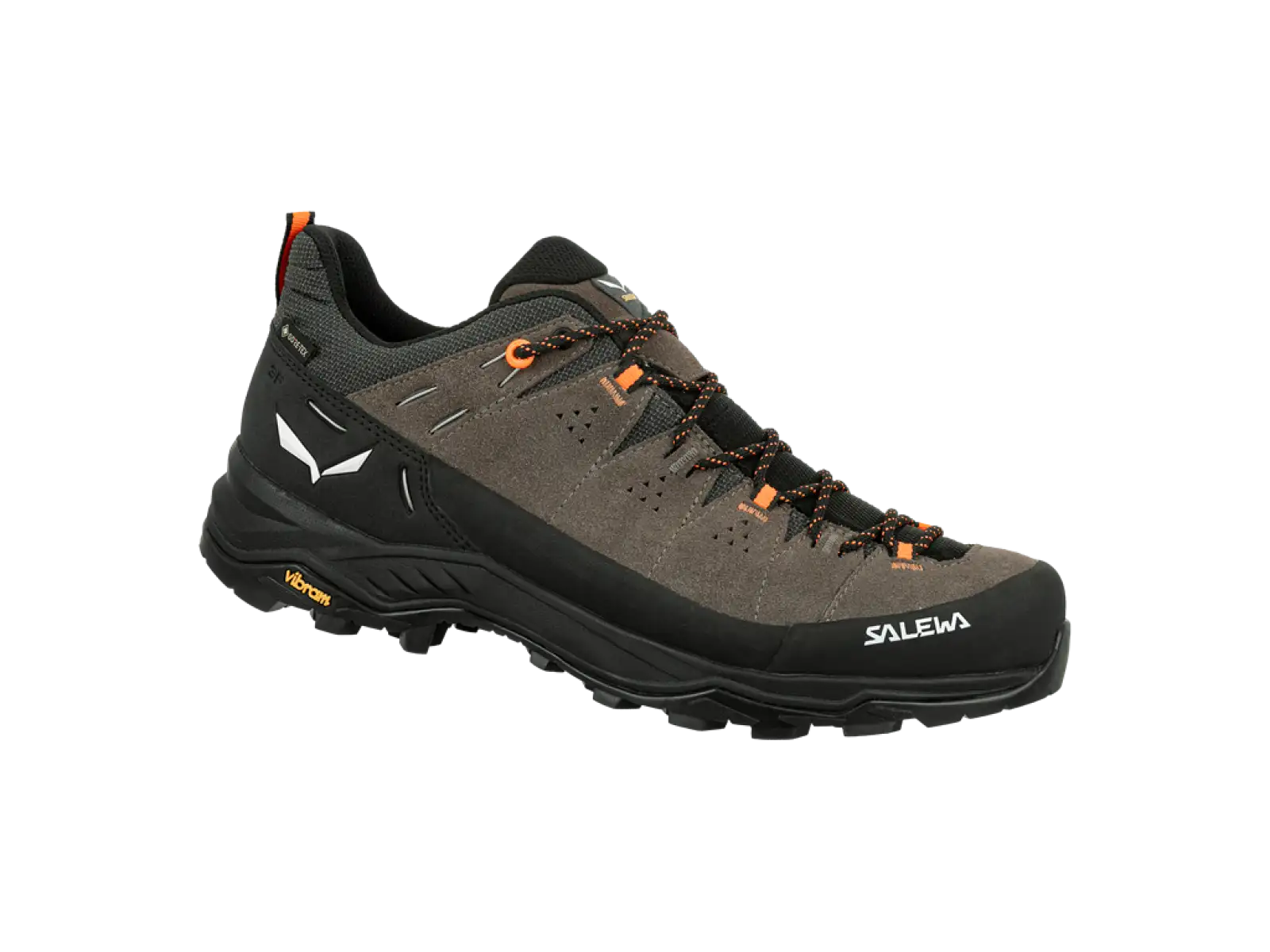 Salewa Alp Trainer 2 GTX pánské boty Bungee Cord/Black