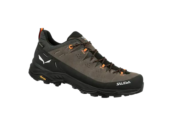 Salewa Alp Trainer 2 GTX pánské boty Bungee Cord/Black