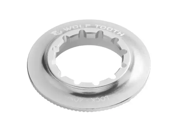 Wolf Tooth matice Centerlock Rotor Internal Spline raw stříbrná