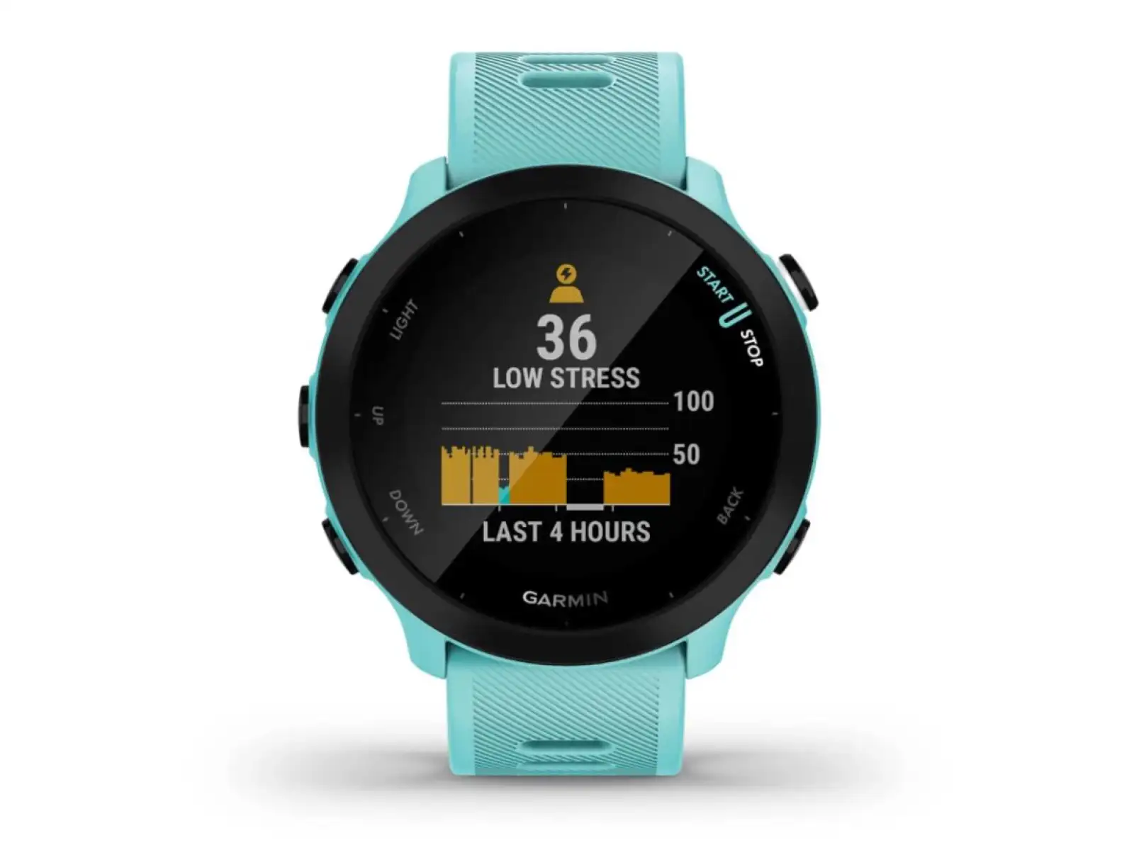 Garmin Forerunner 55 chytré hodinky Aqua