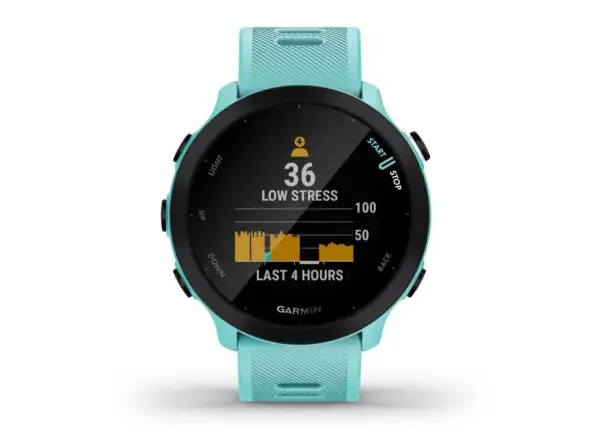 Garmin Forerunner 55 chytré hodinky Aqua
