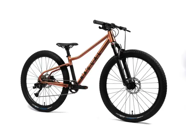 Rascal Wild 26 dětské kolo Bronze