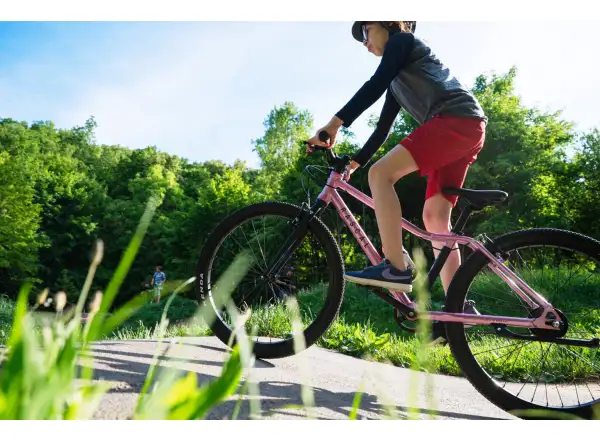 Rascal 24 7 sp. Shimano Nexus dětské kolo Raspberry