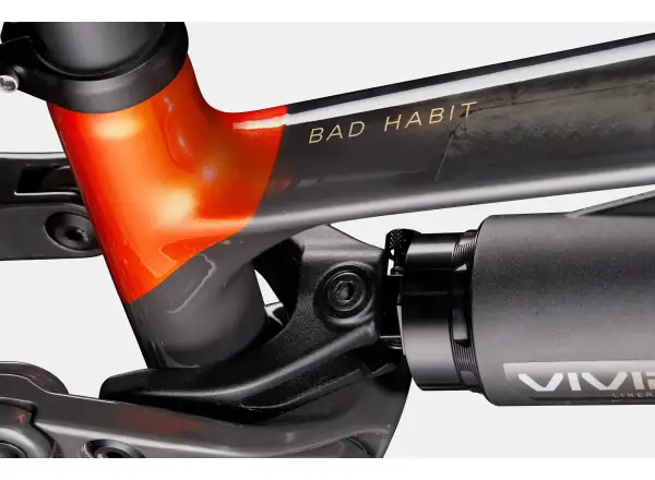 Cannondale Bad Habit 1 horské kolo RAW Carbon