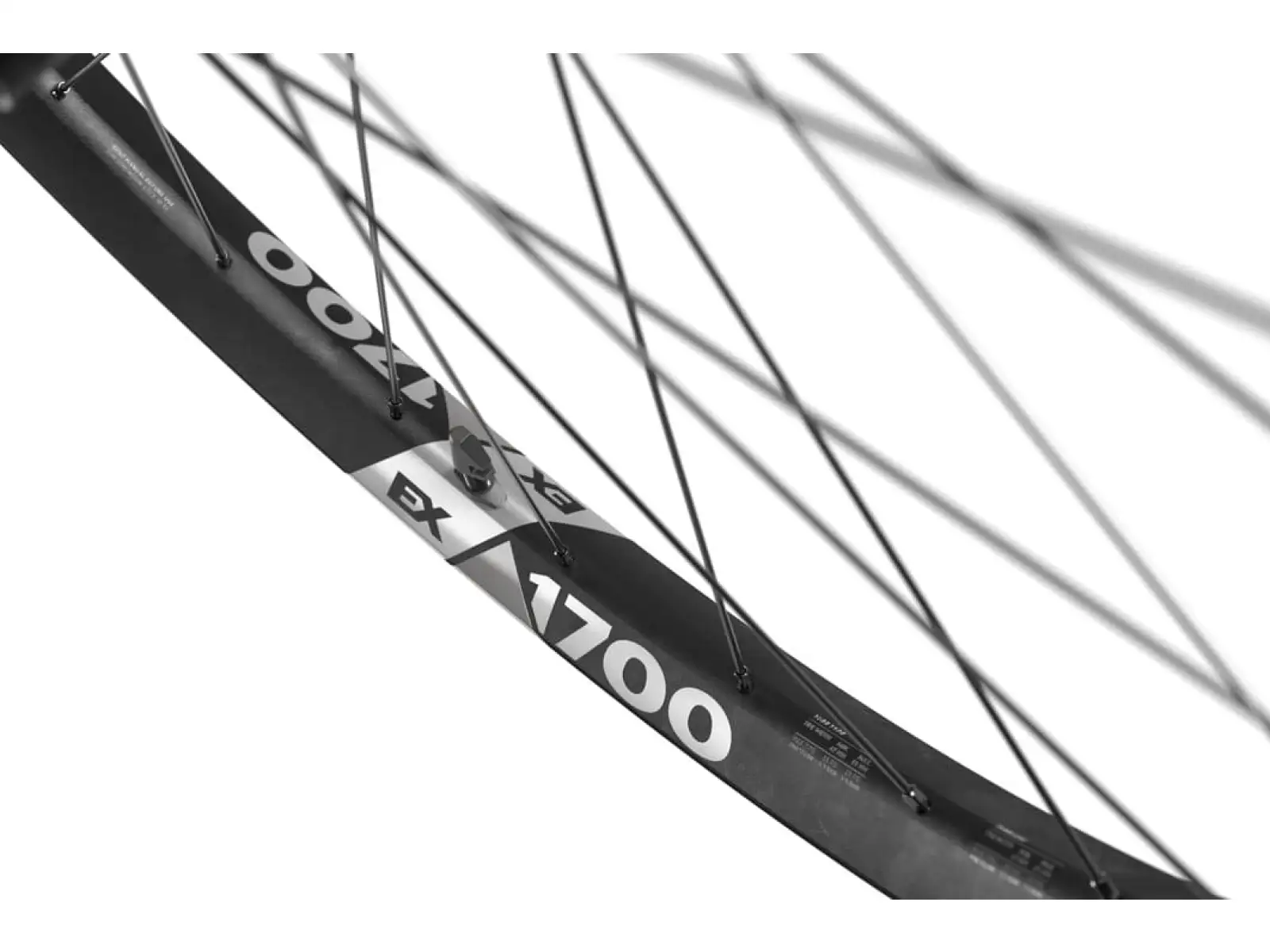 DT Swiss EX 1700 Spline Boost 29" vypletená kola
