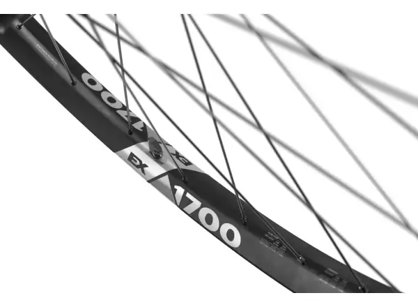 DT Swiss EX 1700 Spline Boost 29" vypletená kola