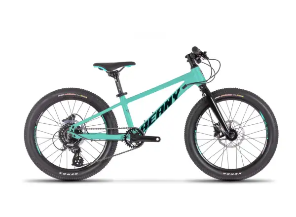 Beany Blaster XC 20 dětské kolo Mint