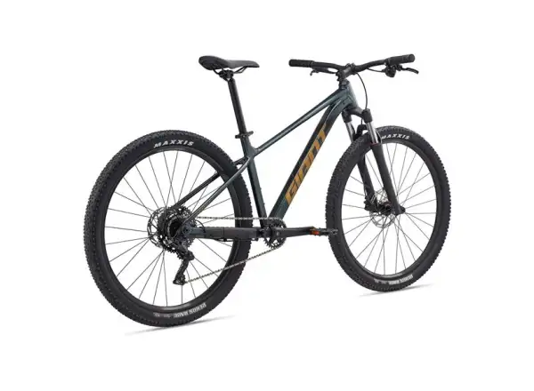 Giant Talon 29 2 horské kolo Asphalt Green