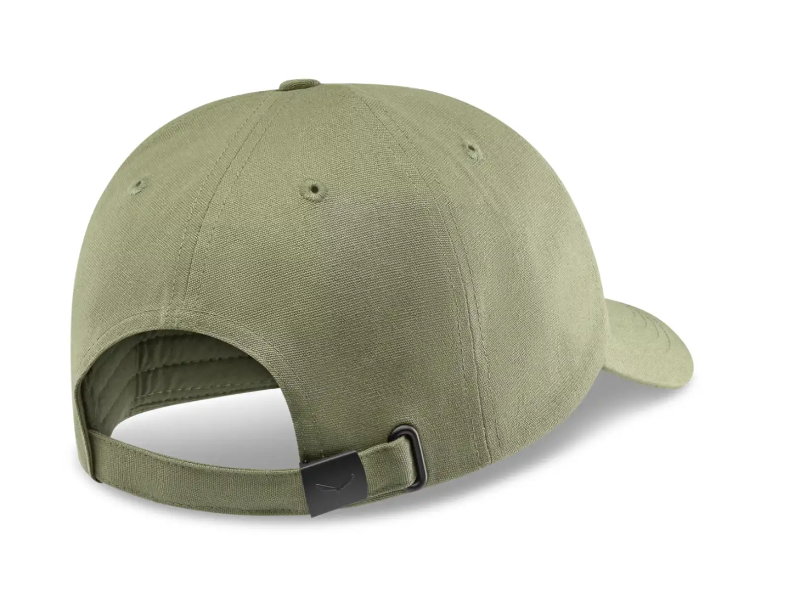 Salewa Graphic kšiltovka Faded Green