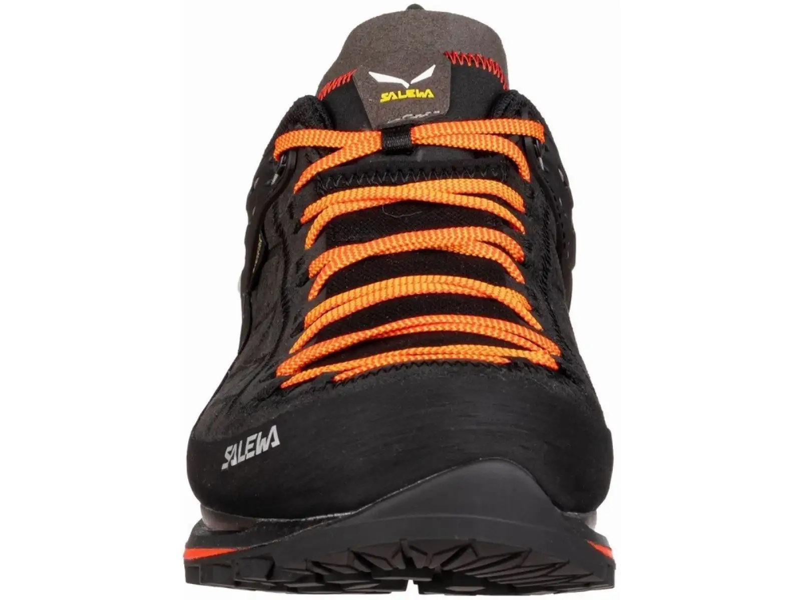 Salewa MTN Trainer 2 GTX MS pánské trekové boty černá