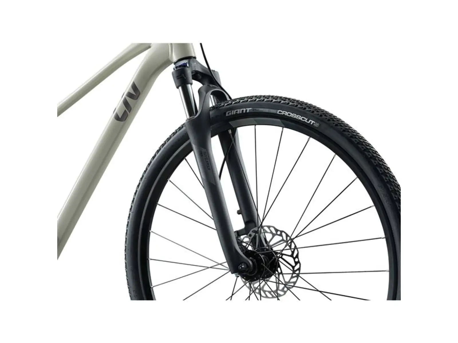 Giant Rove 3 trekingové kolo Pulp Gray