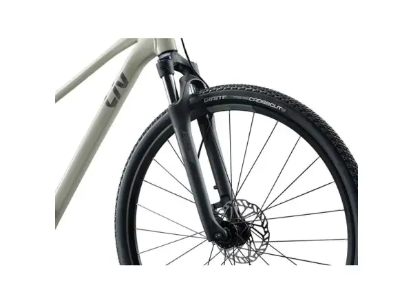 Giant Rove 3 trekingové kolo Pulp Gray