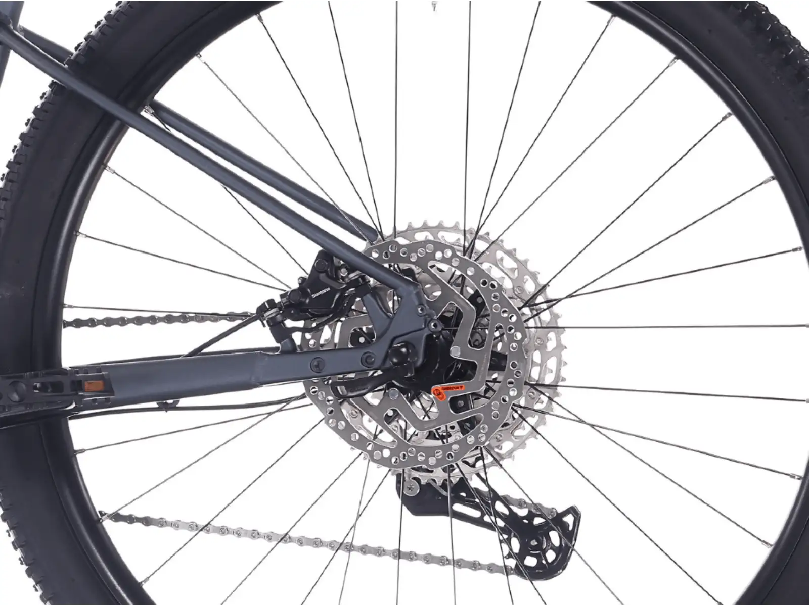 Rock Machine Blizz 50 horské kolo 29" Gloss Night Storm