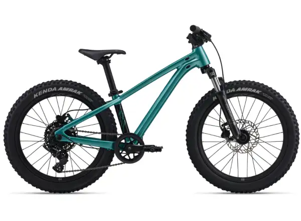 Giant STP 20 FS dětské horské kolo Teal