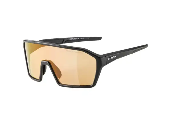 Alpina Ram Q-Lite V brýle Black Matt