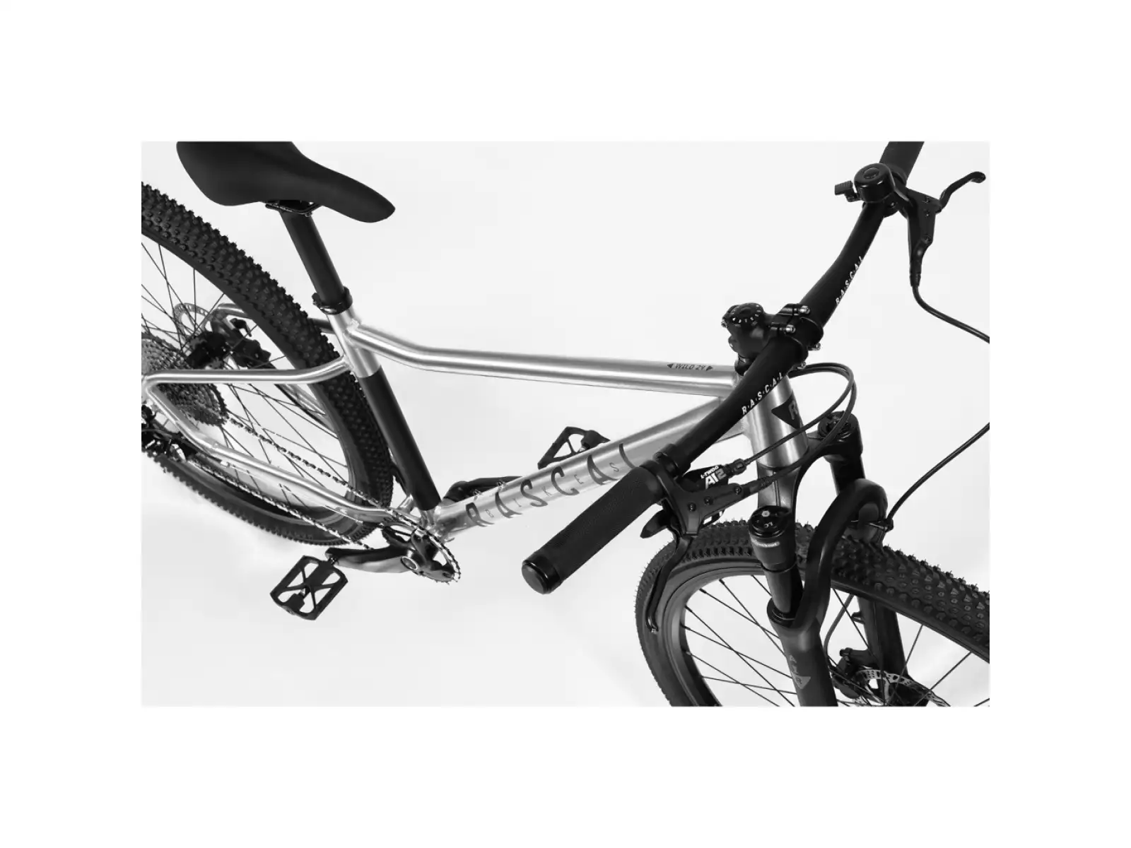 Rascal Wild 29 Limited dětské kolo Silver