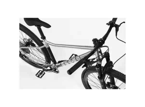 Rascal Wild 29 Limited dětské kolo Silver