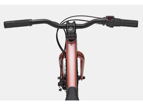 Cannondale Trail Plus 20 dětské kolo Salmon